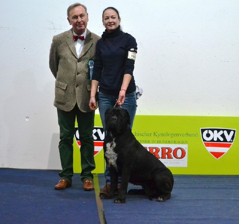 CH. Kitana von Mordore - Exc.1 + CAC + CACIB + BOS (become Austrian Champion)