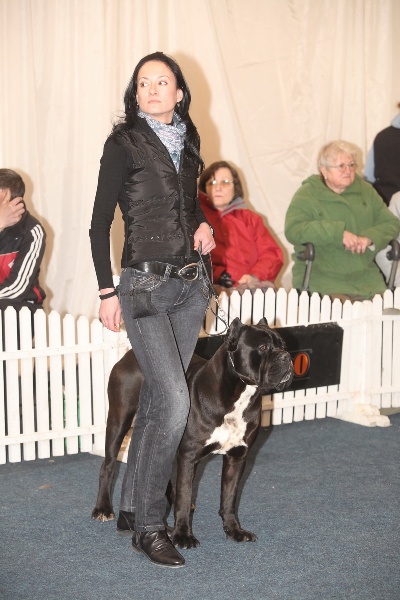 CH. Ghost von Mordore - Exc. III