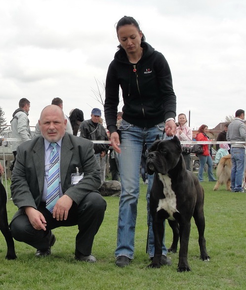 CH. Ghost von Mordore - Exc. I - J.CAC - BEST JUNIOR