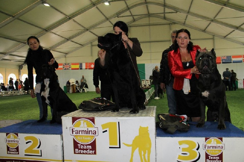 CH. Ghost von Mordore - Exc. II