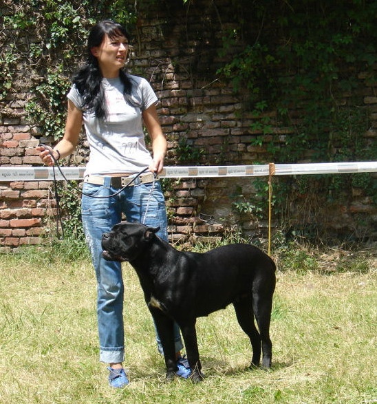 CH. Maraya Della porta dipinta - Exc. I, RPJ