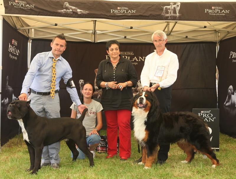 CH. Ghost von Mordore - Exc.I - JCAC - BEST JUNIOR - BEST OF BREED - BEST OF GROUP