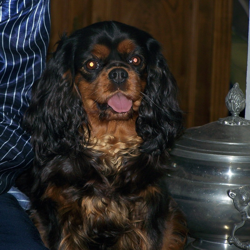 Publication : des Rubis de lady C