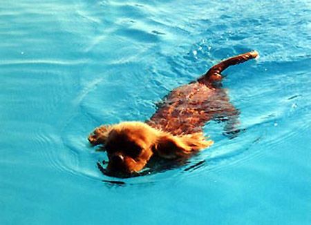 Publication : Des rois du monde