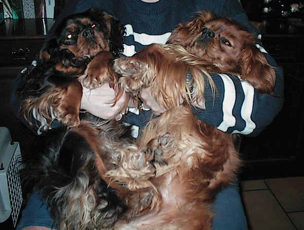 Publication : des Rubis de lady C