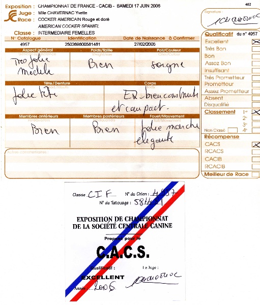 CH. Very Vigie Aphrodite - c.a.c