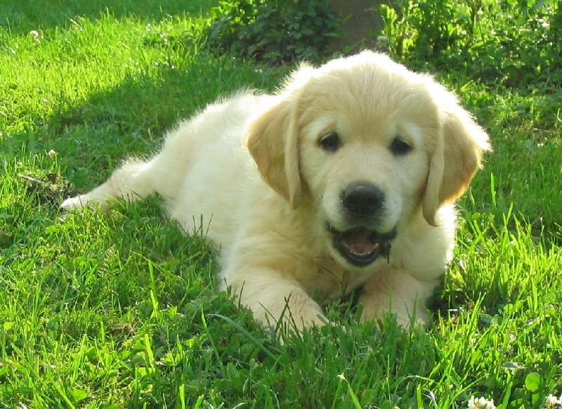 Publication : des grandes plaines de l'Artois