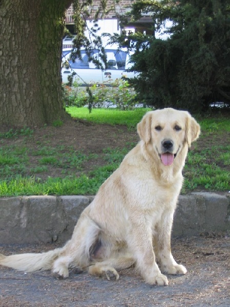 Publication : des grandes plaines de l'Artois