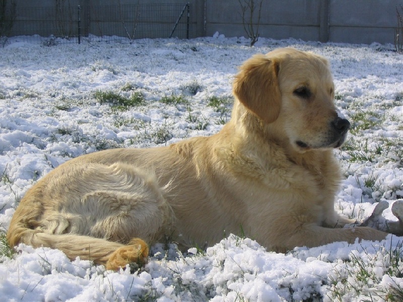 Publication : des grandes plaines de l'Artois