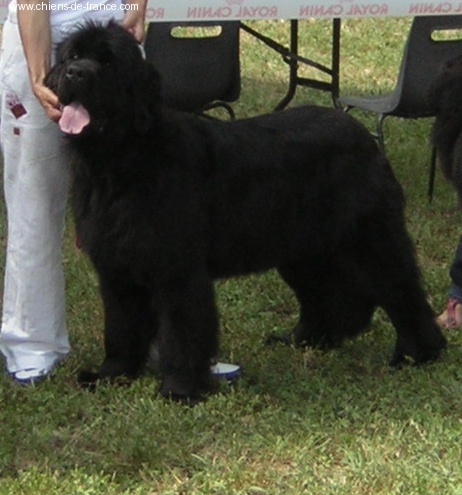 Angel Du clos des abysses de provence - 2 exellent