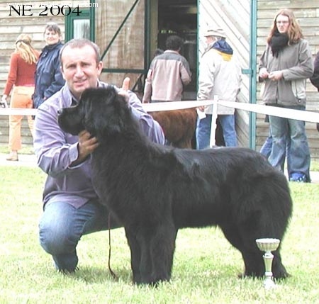 All blacks newfy Tchoupy - 4 exellent