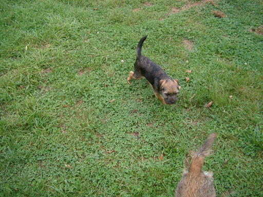 Publication : from Crossing Borders Auteur : R.Kollmann