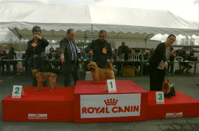 CH. baderbeck's Percy - CAC / MR - 2me du groupe 3