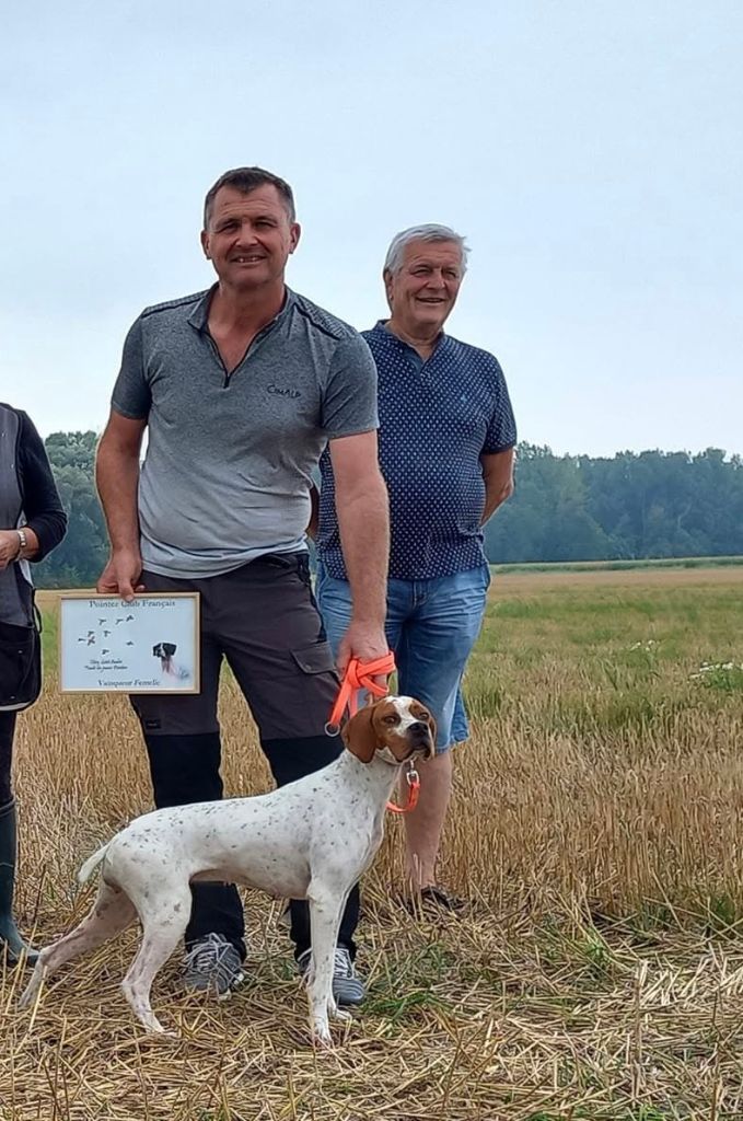 TR. Txintu de landa gori