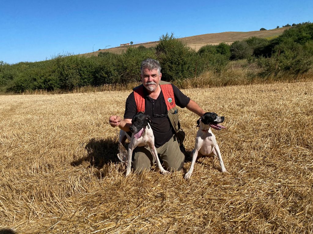 Txispa de landa gori