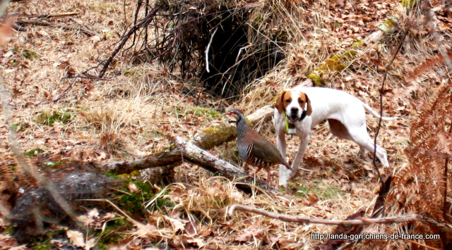 Publication : de landa gori Auteur : jean roger Marquestaut