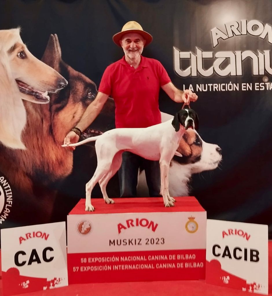 Txispa de landa gori