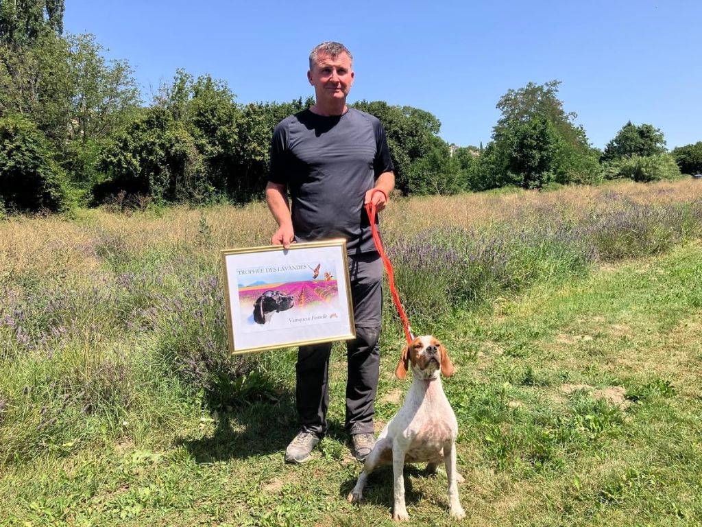 TR. Txintu de landa gori