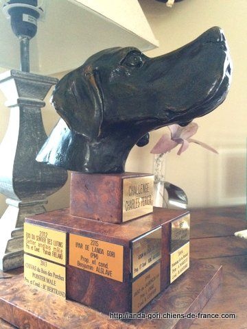 TR. Ipar de landa gori - CHALLENGE CHARLES PERRIER