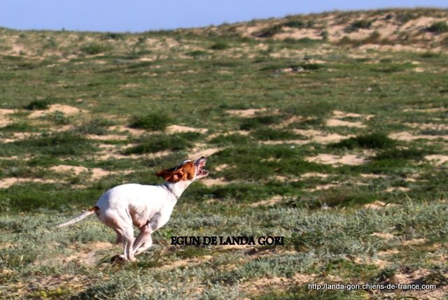 TR. Egun de landa gori - 3e Excellent