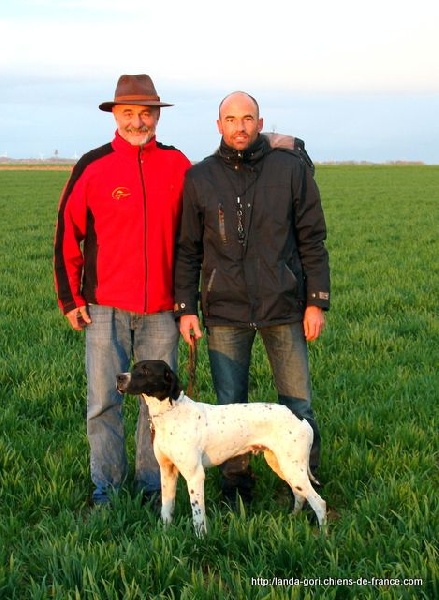 TR. Ipar de landa gori - VAINQUEUR DU DERBY