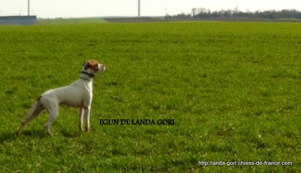 TR. Egun de landa gori - 3eme EXCELLENT