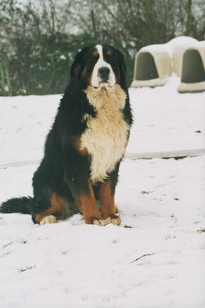 Publication : des Vertes Prairies du Pajot