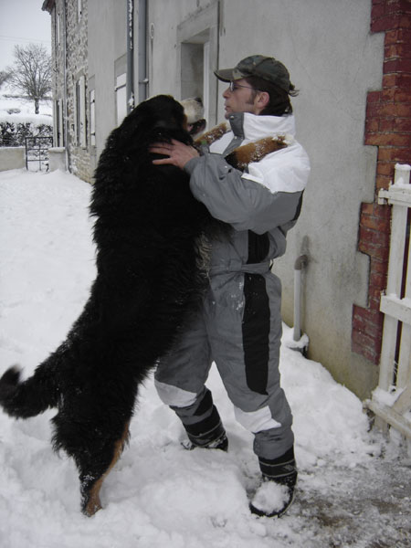 Publication : des Vertes Prairies du Pajot