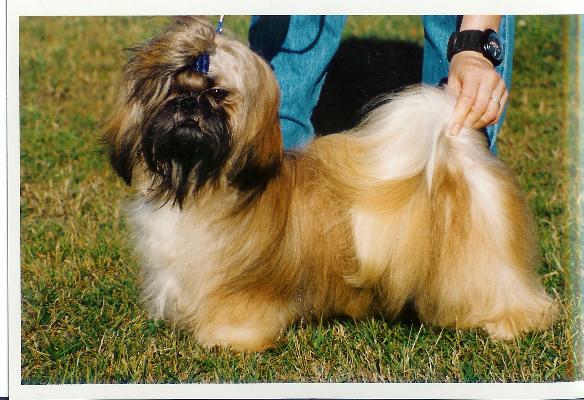 Publication : Gokhang