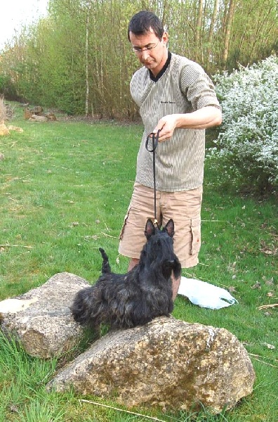 CH. Bella rossa dite julie la rousse Della Roccacia di Modigliana