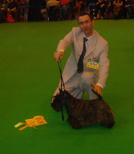 CH. Bella rossa dite julie la rousse Della Roccacia di Modigliana