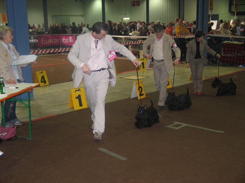 CH. Bella rossa dite julie la rousse Della Roccacia di Modigliana