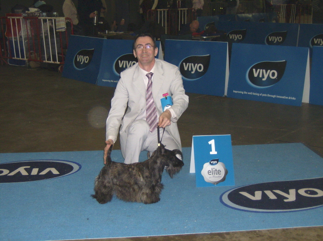 CH. Bella rossa dite julie la rousse Della Roccacia di Modigliana