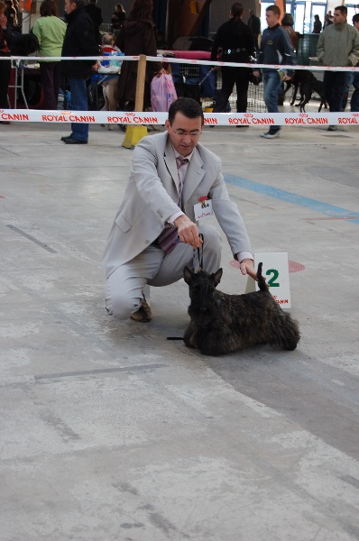 CH. Bella rossa dite julie la rousse Della Roccacia di Modigliana