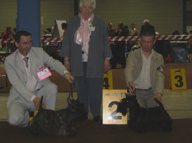 CH. Bella rossa dite julie la rousse Della Roccacia di Modigliana