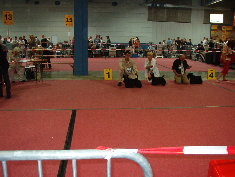 CH. Réglisse Du cottage de brendamoray