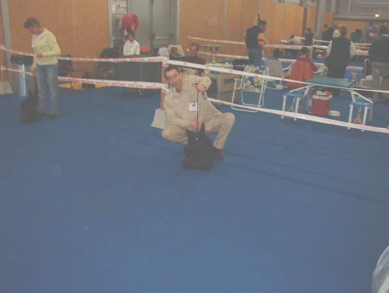 CH. Réglisse Du cottage de brendamoray