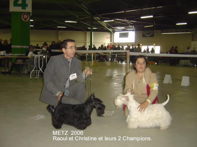 CH. Réglisse Du cottage de brendamoray