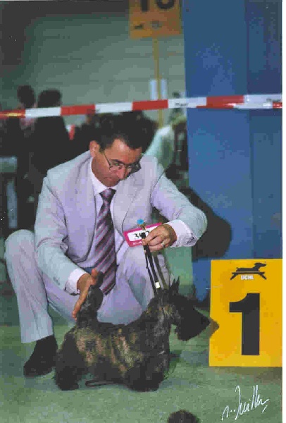 CH. Bella rossa dite julie la rousse Della Roccacia di Modigliana