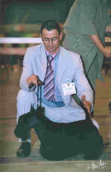 CH. Réglisse Du cottage de brendamoray