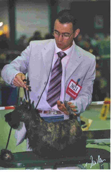 CH. Bella rossa dite julie la rousse Della Roccacia di Modigliana