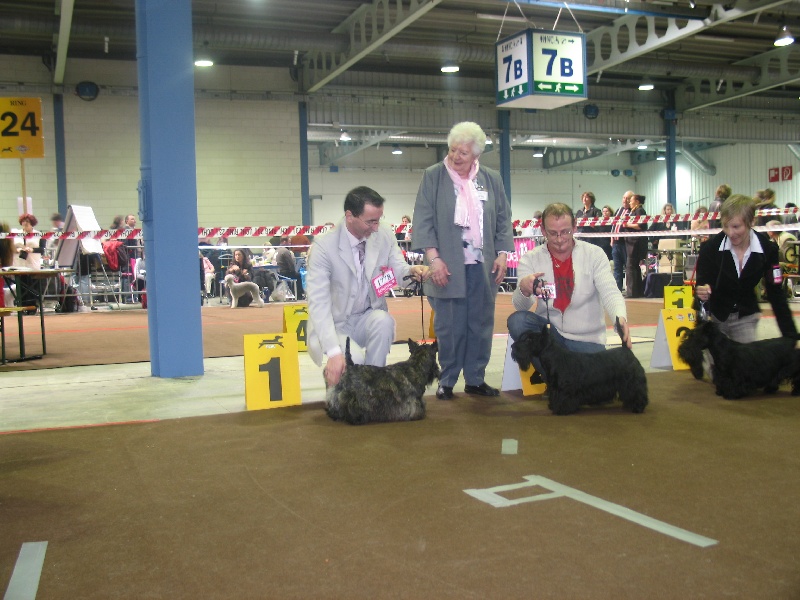 CH. Bella rossa dite julie la rousse Della Roccacia di Modigliana