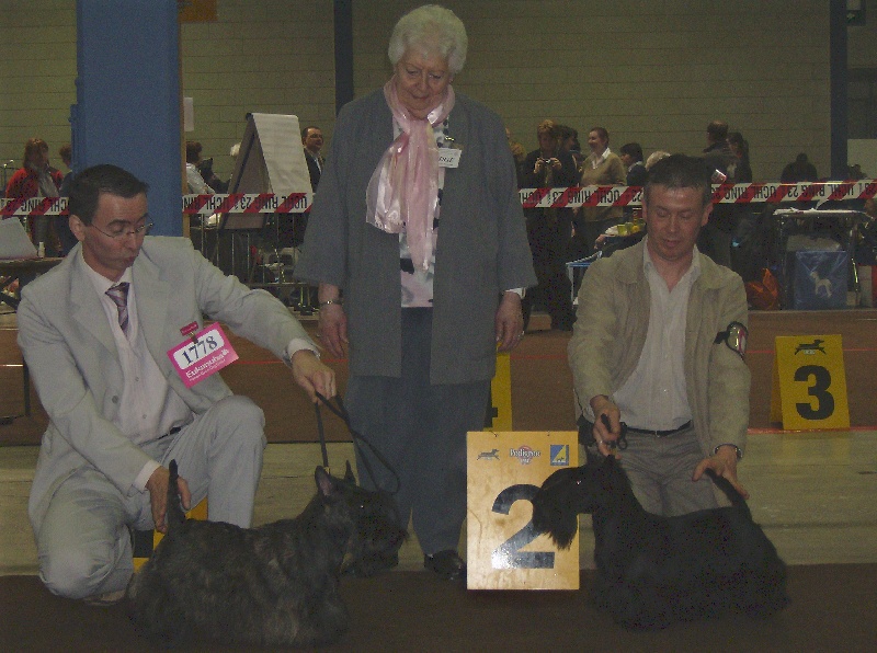 CH. Bella rossa dite julie la rousse Della Roccacia di Modigliana