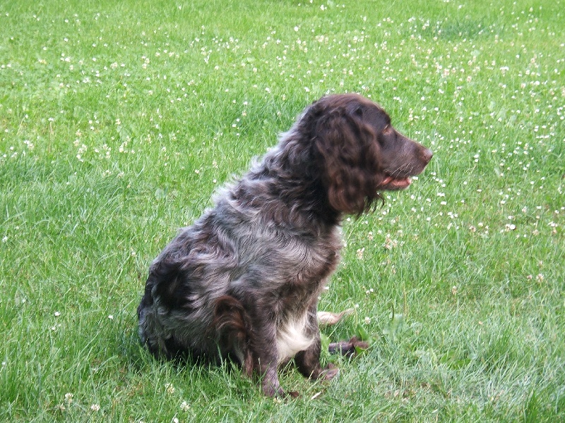 Publication : des monts d'argonne Auteur : liegeois christophe