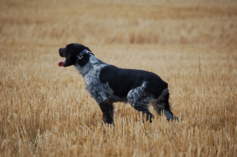 Publication : Des fossés de Javersy Auteur : Emmanuel Bourgeois