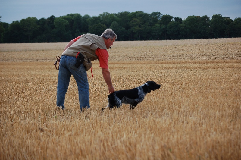 Publication : Des fossés de Javersy Auteur : Emmanuel Bourgeois
