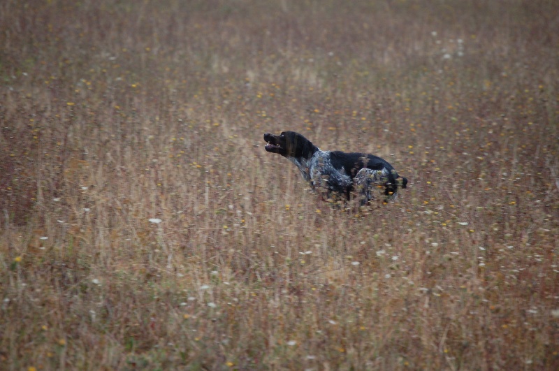 Publication : Des fossés de Javersy Auteur : Emmanuel Bourgeois