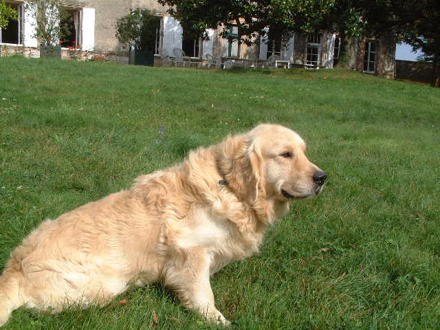 Publication : du vieux tilleul de Boistillet Auteur : du vieux Tilleul de Boistillet