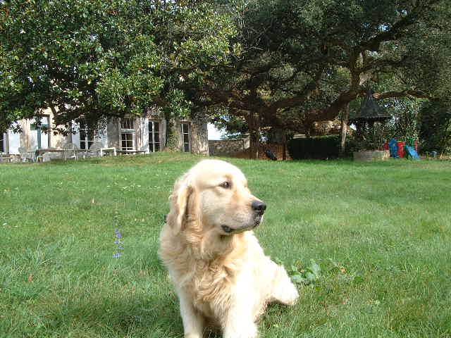 Publication : du vieux tilleul de Boistillet Auteur : du vieux Tilleul de Boistillet