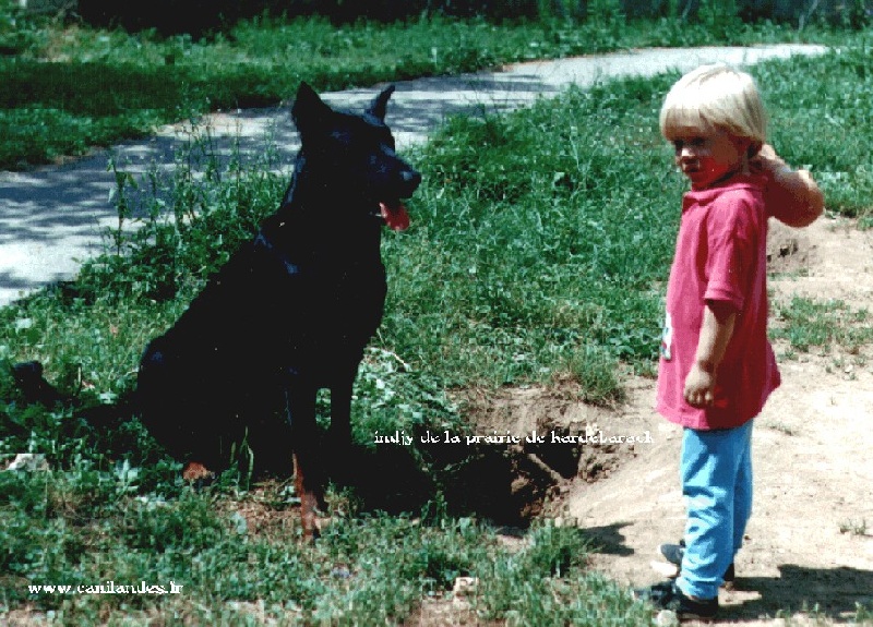 Publication : Des loups du coin de la fontaine